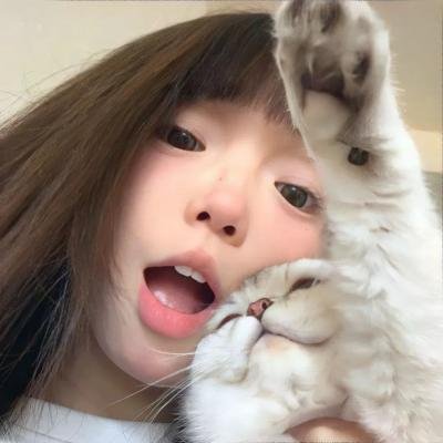 蝶之力学 杀人分析班